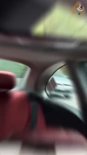 ¿Te estresan los puntos ciegos cada vez que cambias de pista? Con su ángulo de 160° y tamaño de casi 12”, ves más camino de un vistazo y manejas con más seguridad | Bigolito Store