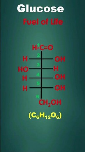 Fischer to Haworth Conversion of Glucose | Easy Trick in 30 Seconds | Bondbreaker03 #neet #jee