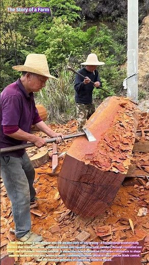 Watch Two Craftsmen Rough-Square a Massive Log with Broad Axes and Adzes! 🪵🪓