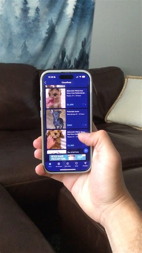 KSL Classifieds on Instagram: "Scrolling through KSL dog listings like it’s a dating app for happiness"
