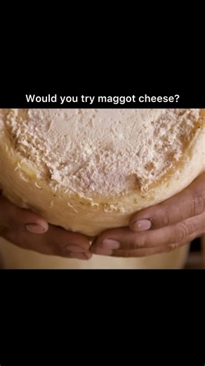 1.1M views · 3.5K reactions | Would you try maggot cheese? 燎路‍♂️ | Foodporn Eats | Facebook