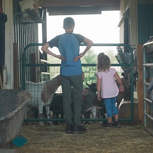 1.1K views · 21 reactions | Don't wait! Apply to be a Georgia Boot Trailblazer! Time is running out! We are looking for six dedicated 4-H’ers to share their 2024 project journey with the Georgia Boot audience, plus win a prize package valued at $500! #GBTrailblazers ️: 4-H  Apply here & learn more > https://www.georgiaboot.com/4-h-trailblazers/ | Georgia Boot | Facebook