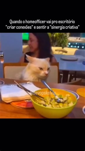 Ricardo Luis Machado | Assim mesmo........kkkkkkkkk #meme #memes #softwareengineer #memestiktok #programmingmemes #webdev #codingmemes #programmer #java #python... | Instagram