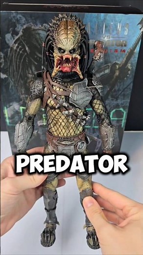Hot Toys AVP Wolf Predator 1/6 Scale Figure 🔥 #hottoys #actionfigures #predator #toys #avp