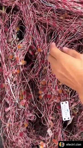 The skill most electricians don't have #cablemanagement #electrical