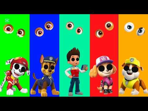 Wrong eyes👀 chellenge DAME TU COSITA Paw Patrol Funny Puzzle Wrong Heads #wrongheads