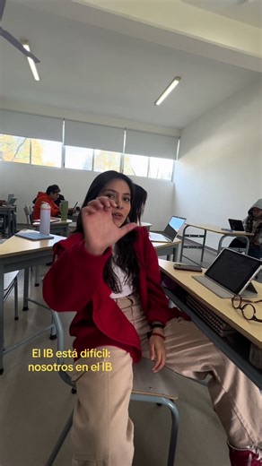 The Challenges of IB: A Student's Perspective