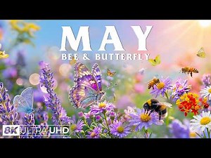 Springtime Splendor 4K | Busy Bees & Butterfly Blossoms 🌸 A Relaxing Spring Escape