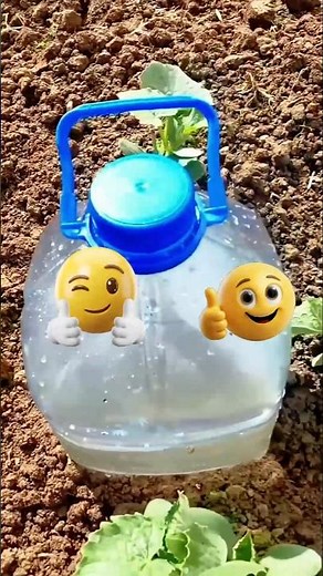 DIY Self-Watering Bottle Hack 🌱 Easy Water Saving Trick for Healthy Plants
