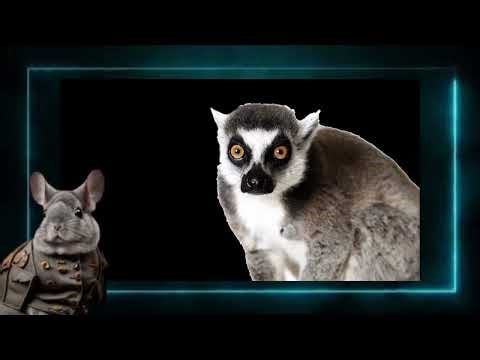 The Leaping Lemur Exposed By His Girlfriend Interview!?!?