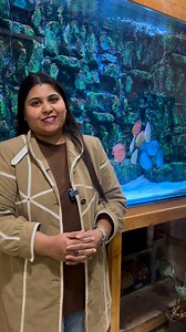 3.4K views · 55 reactions | Lighting can make or break your aquarium. Choose wisely! #light #aquarium #aquariumlighting #aquariumlight #lightsforaquarium | The blessings aquarium shoppe | Facebook