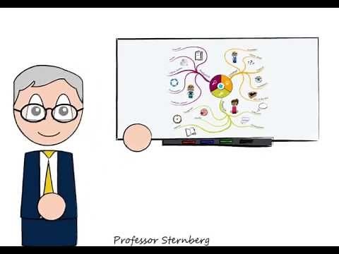 Denkvaardigheden (Sternberg)