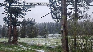 Yellowstone is also seeing Summer snow! By Monday it'll be a distant memory. | WeatherNation