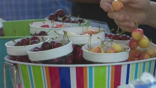 Emmett's 90th annual Cherry Festival kicks off Wednesday