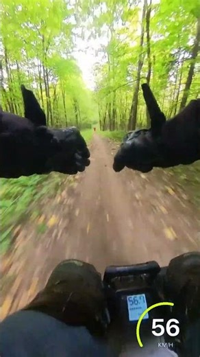 Top Speed Off-Road: Pushing the Lynx to the Limit