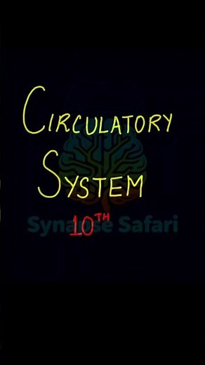 Transportation in human beings. Circulation of blood. #heart #biology #science10th #circulation