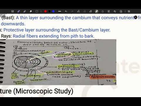 Introduction to Timber || Characteristics of Timber || Seasoning of Timber || Conversion of Timber 
