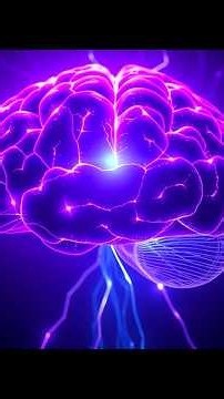 3 Habits Wiring Your Brain for Rejection