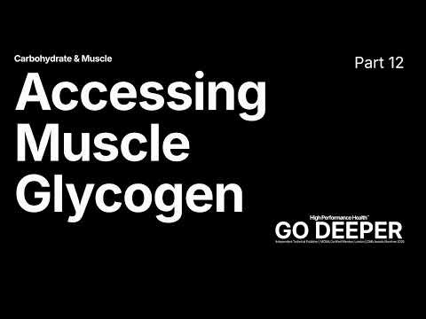 Muscle Glycogen: Fasting, Cardio, and Anaerobic Metabolism (The Mechanical Mandate)