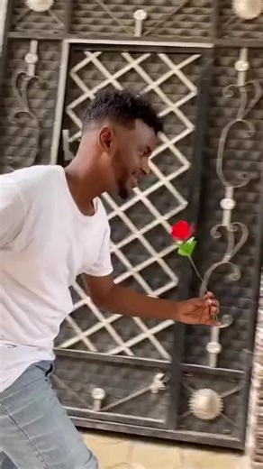 Berdilacshe (@alertmedia4)’s videos with original sound - Berdilacshe