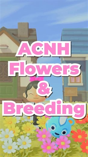 TreyKatxo 🍙 on Instagram: "ACNH Flowers & Breeding #animalcrossingnewhorizons #acnh #animalcrossingcommunity"
