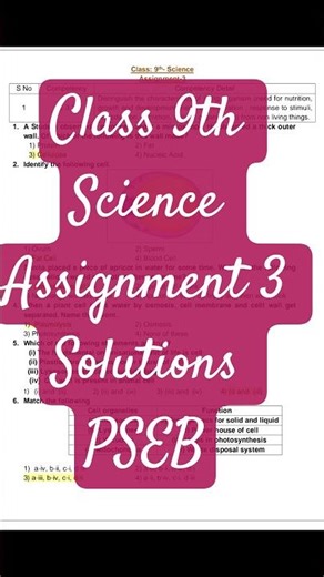 class 9 cep assignment 3 solution #pseb2026 #cep #class9 #pseb