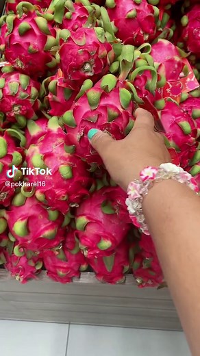 Exploring the Beauty of Dragon Fruit in Detail