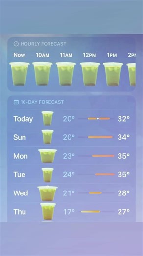 The Matcha Craze: Discover Its Benefits and Uses