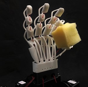 Four trends shaping the future of robots - ETH Ambassadors