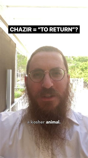 Will the Pig Become Kosher? 🫨