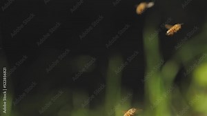 Thermometer shows the outside temperature. Old temperature gauge outside