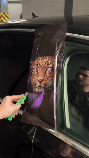 Custom car decals|Blazexel#caraccessories #custom #cargadgets #cardecals #carlover #carstickers