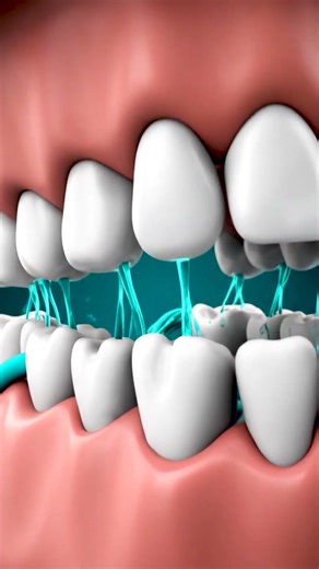 Why Adult Teeth Fall Out? 🦷 #HealthyTeeth #shorts