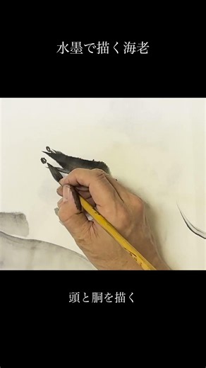 海老の描き方｜墨で頭・髭・足を #絵が上手くなる方法 #shorts #sumi #art #水墨画