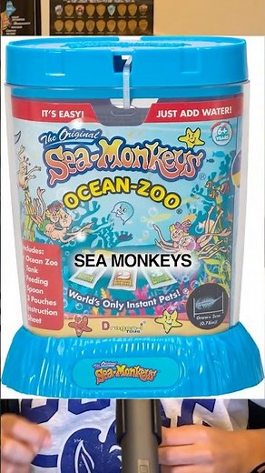 Where do Sea Monkeys Come From?