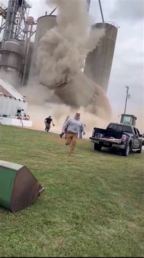 10K views · 45 reactions | Workers ran from a grain elevator collapse in Illinois. Video shows how quickly it came down and all the dust and debris that came with it as workers sprinted from the scene. | WPLG Local 10 | Facebook