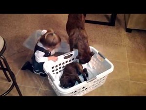 Surprise Christmas puppy!!