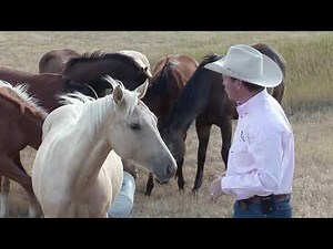 Understanding Herd Behavior