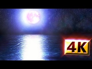 4K Fantastic Night Sea With Full Moon Light Free Motion Backgrounds Loops 2160p / Healing movie