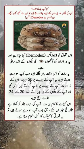 "Did You Know? Tiny Demodex Mites Live on Your Eyelashes & Face!"#trendingshorts