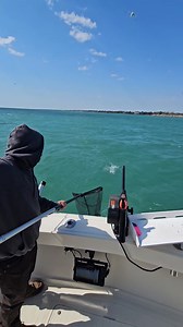 96K views · 1.5K reactions | Coho salmon action  | Big boy fishing | Facebook