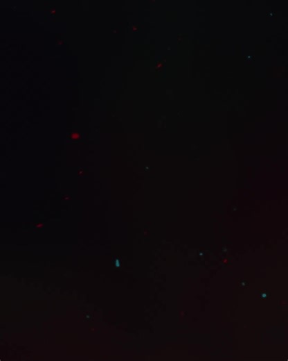 3.1K views · 35 reactions | Discover why Oracle chooses AMD for world-class database performance on the most demanding workloads. #TogetherWeAdvance | AMD | Facebook