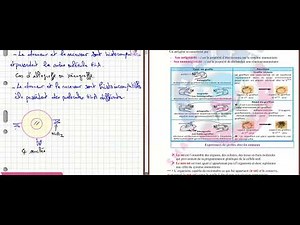 Séance révision n°1 : Résumé détaillé de l'immunité