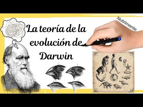 Darwin's Theory of EVOLUTION | NATURAL SELECTION