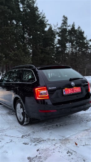 Max Stepanchuk на TikTok