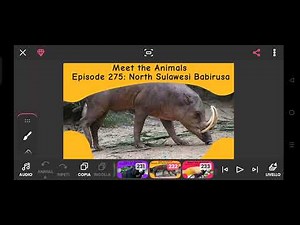 Little Fox Meet the Animals 16-17