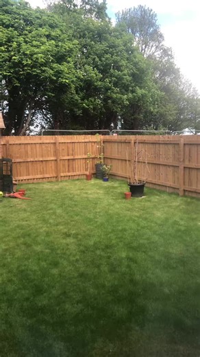 #Diy #grapevine #gardening #trellis