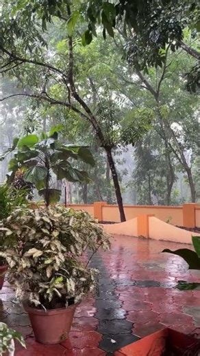പെരുമഴ കാലം