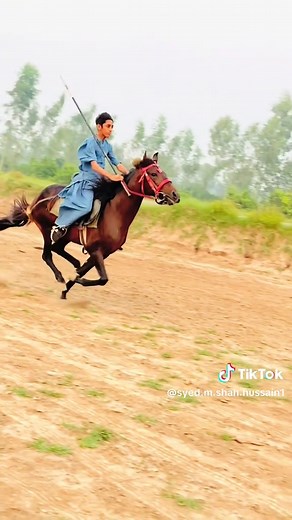 Horse Riding Tips for Beginners and Enthusiasts