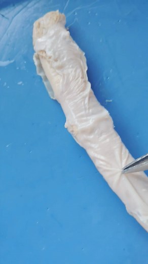 Neuroanatomy lab today! | Marko Sperandeo